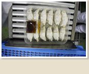 工場内画像⑦餃子製造工程 工場内画像⑦餃子製造工程